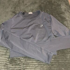 Small everyday seamless long sleeve crop top